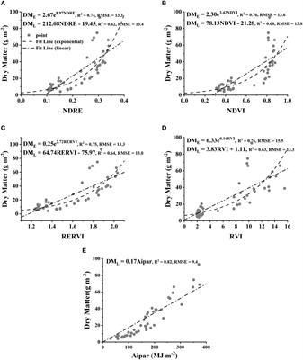 Using crop intercepted solar radiation and vegetation index to estimate dry matter yield of Choy Sum